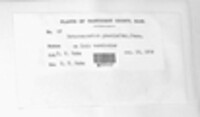 Cladosporium iridis image
